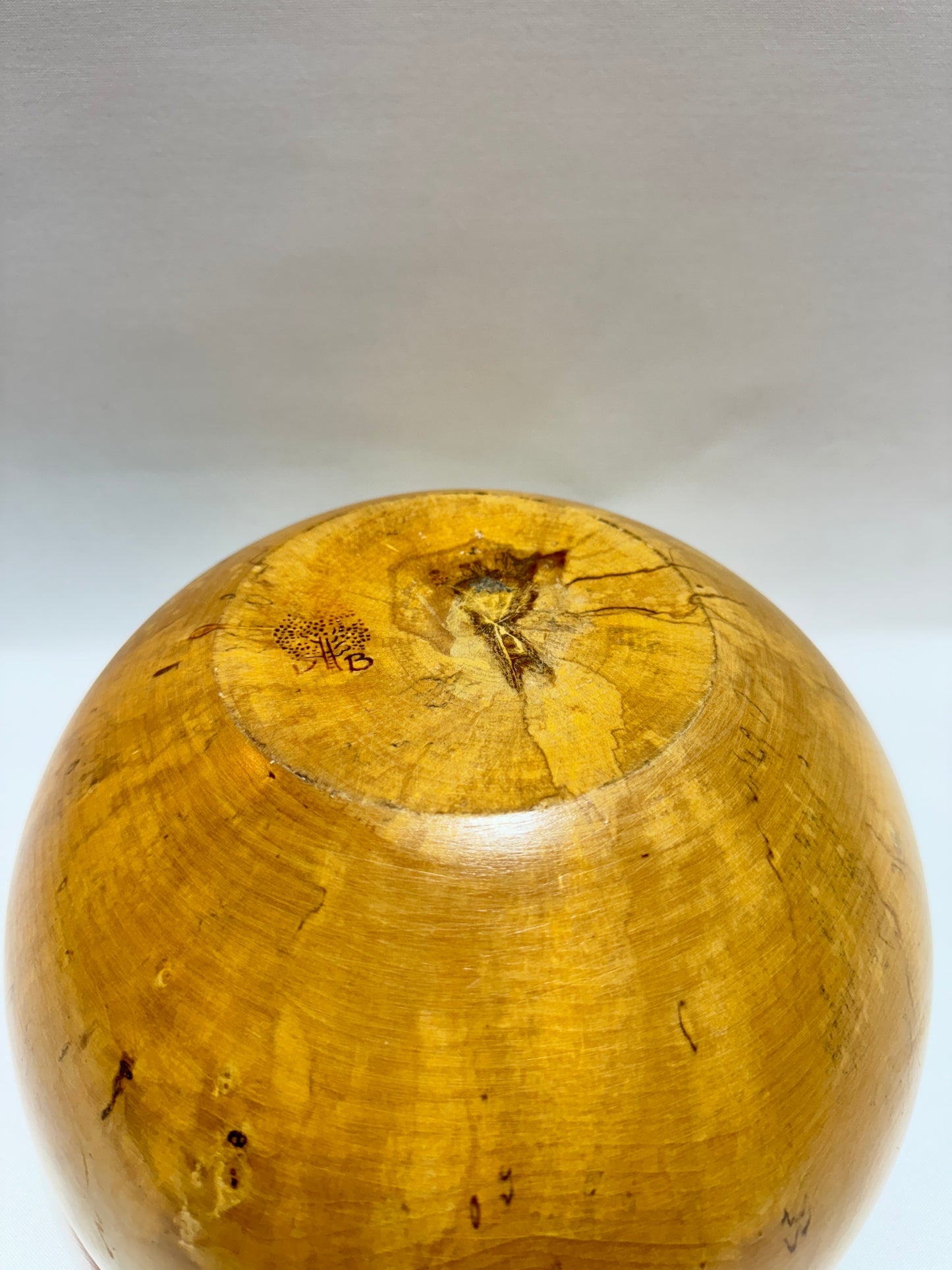 Träskål - Masurbjörk