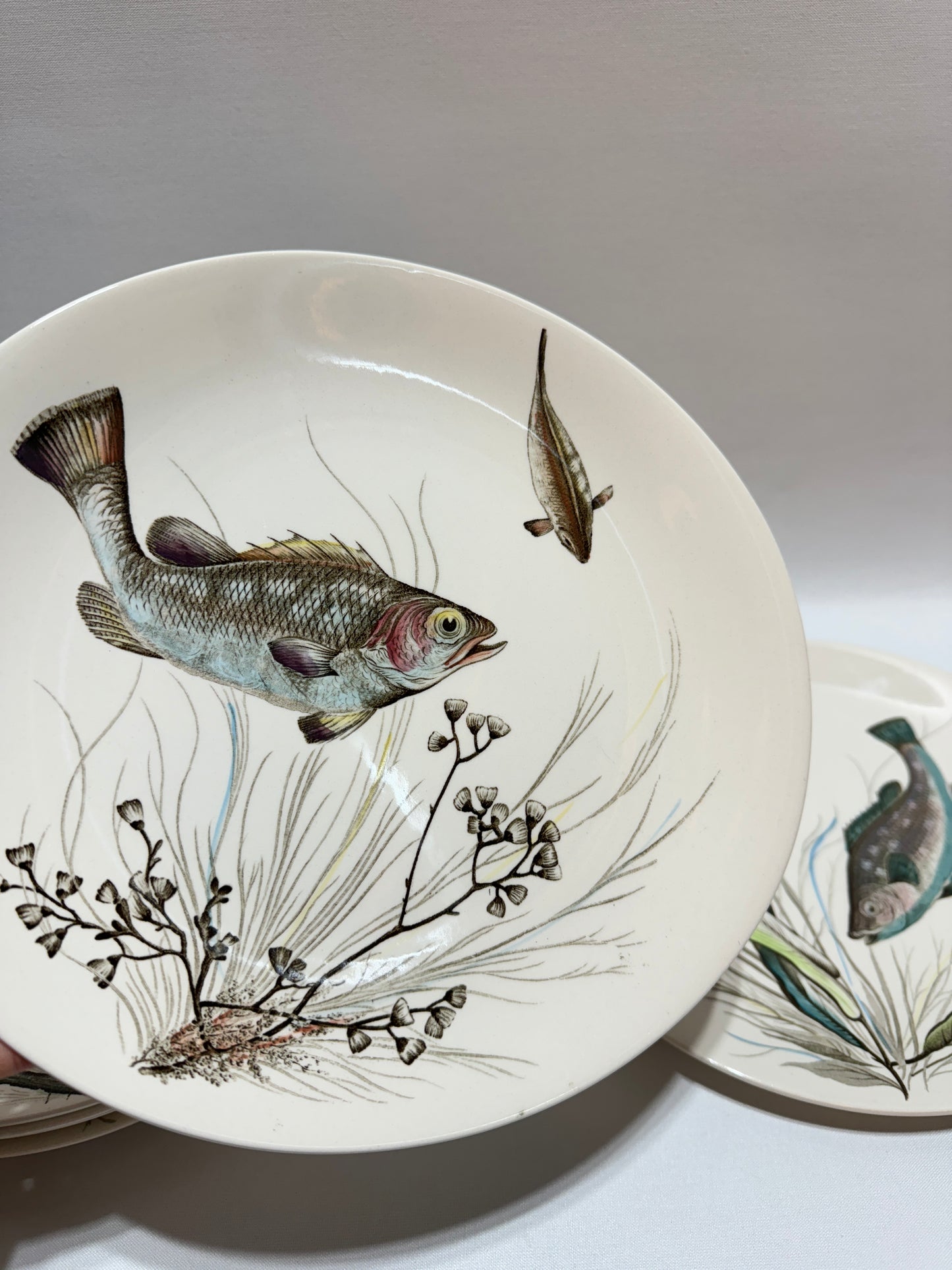 6 st engelska fisktallrikar - ”Fish”