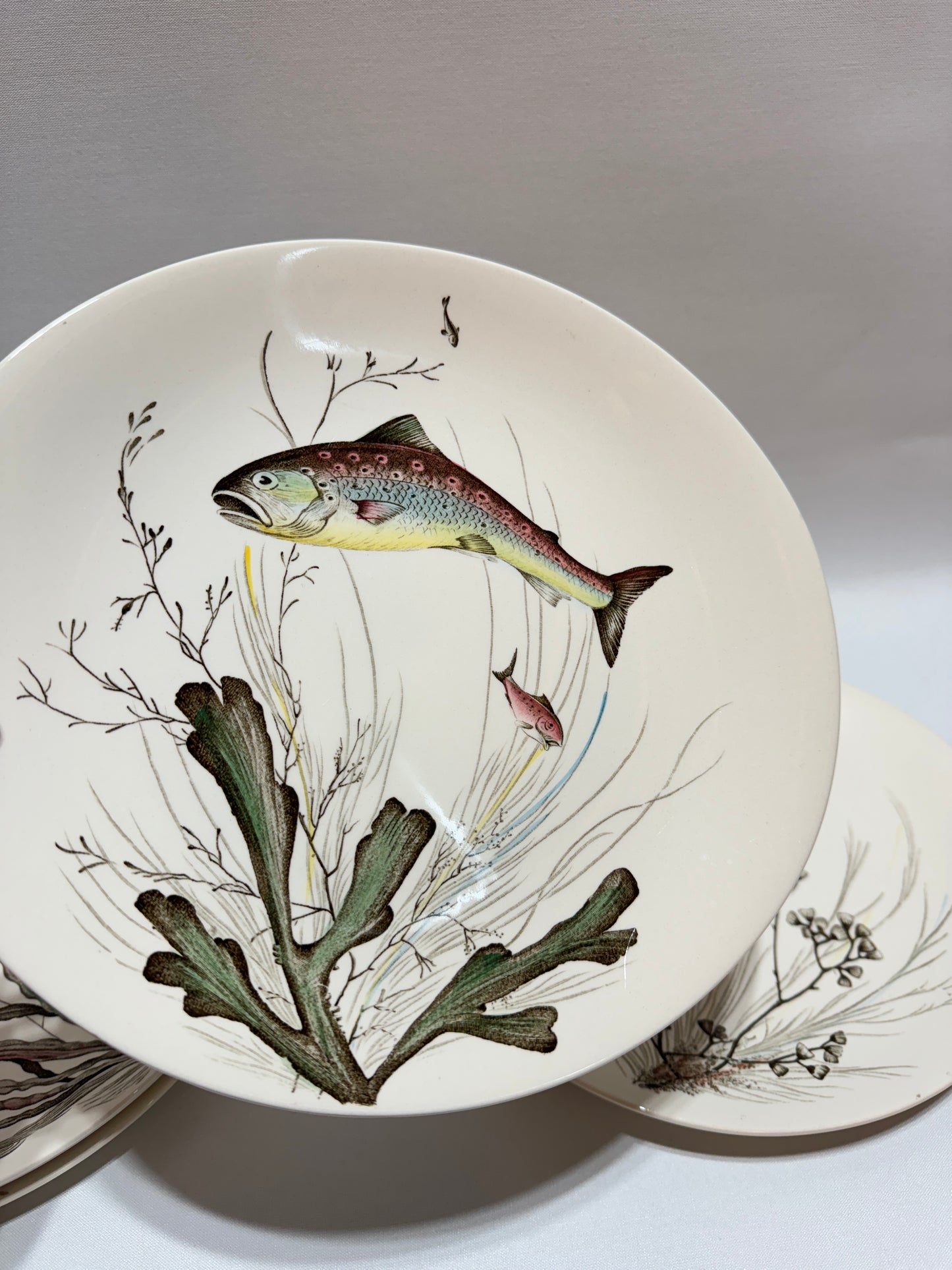 6 st engelska fisktallrikar - ”Fish”