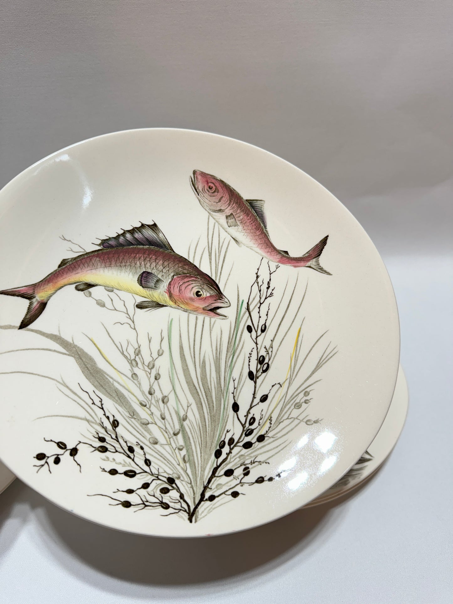 6 st engelska fisktallrikar - ”Fish”