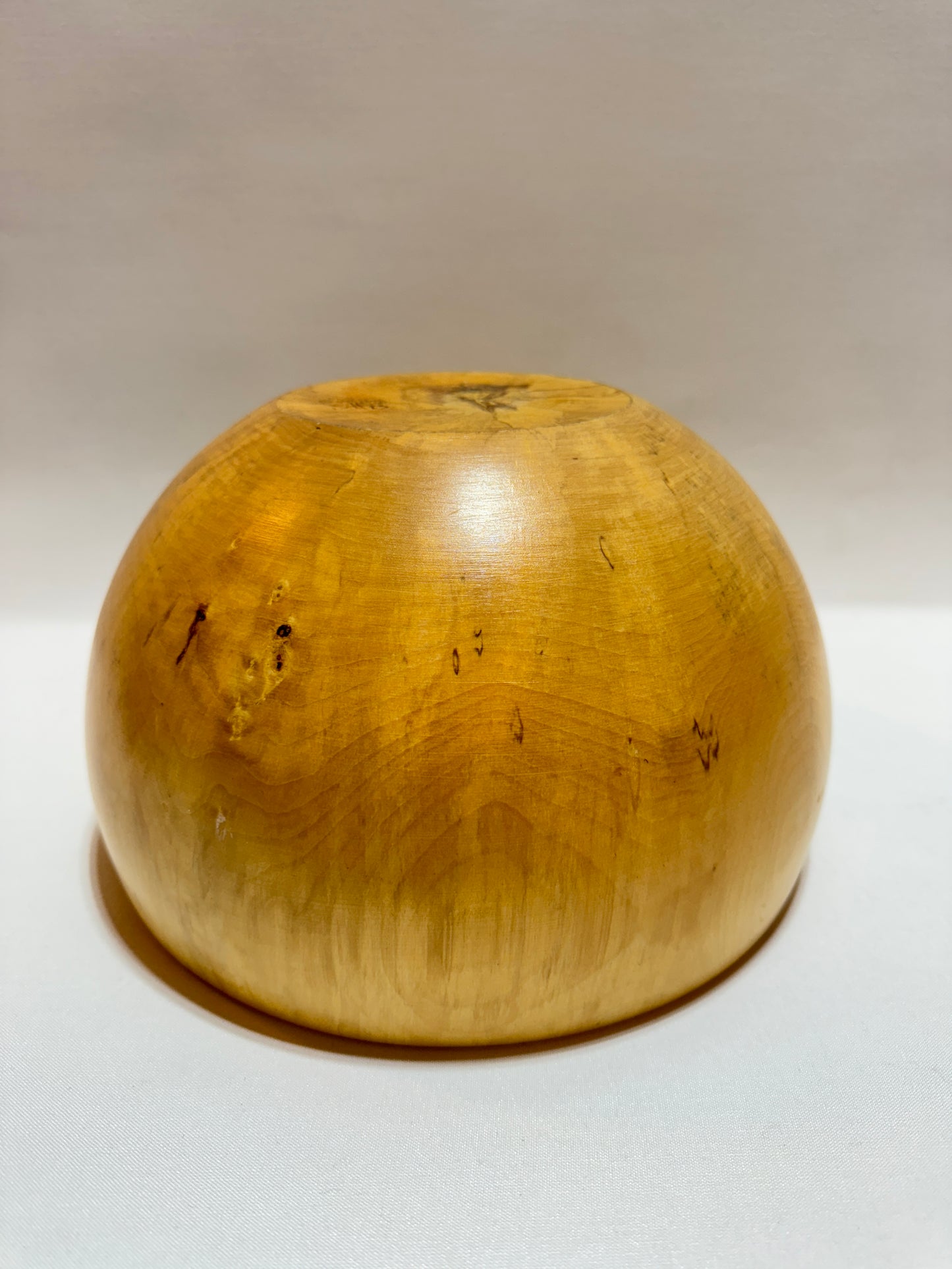 Träskål - Masurbjörk