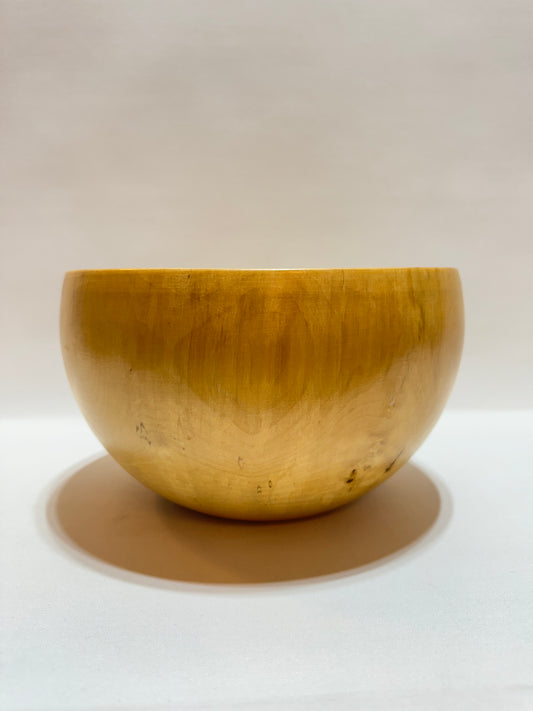 Träskål - Masurbjörk